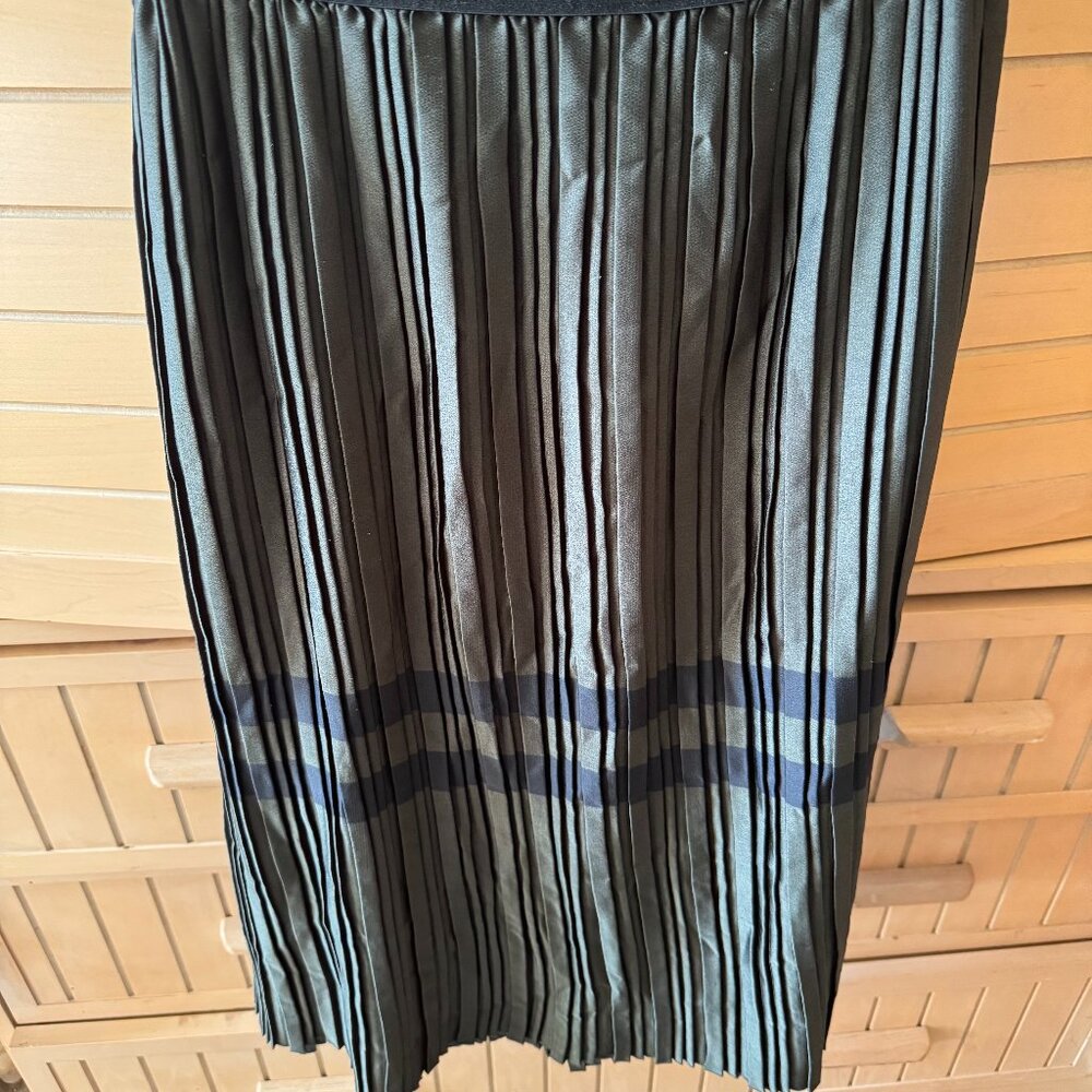 Zara Maxi Skirt